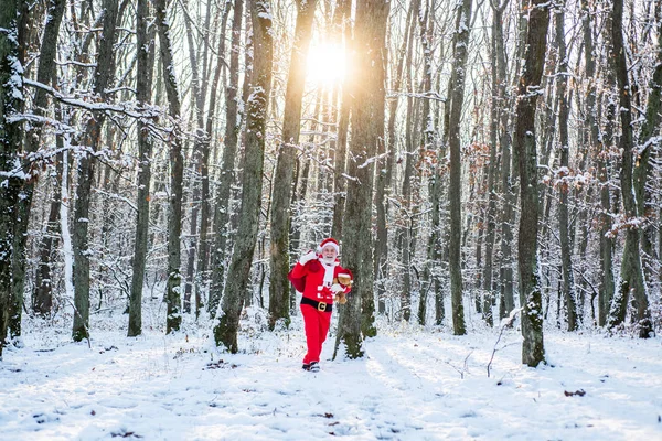 Noel kutlaması tatili. Noel Baba kış tarlasında. Kırmızı kostümlü Noel Baba kış ormanında yürüyor. Kış parkı ağaçları karla kaplı. — Stok fotoğraf