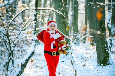 Kış parkı ağaçları karla kaplı. Kışın çantalı Noel Baba yürüyor. Noel Baba beyaz doğayla ilgili bir çanta dolusu hediyeyi çekiyor..