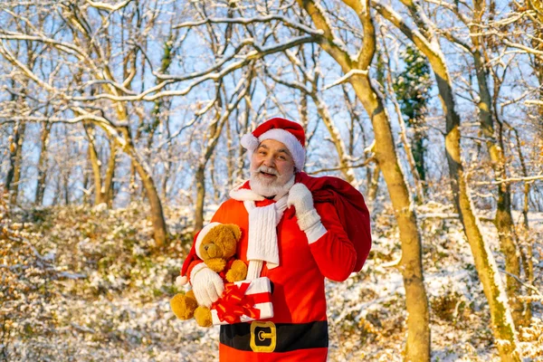 Weihnachtsmann mit Sackhüpfen im Winter. Frohe Weihnachten. Großvater Weihnachtsmann geht im Wald. Kalter Dezember. Frohes neues Jahr. wünsche Ihnen frohe Weihnachten. — Stockfoto