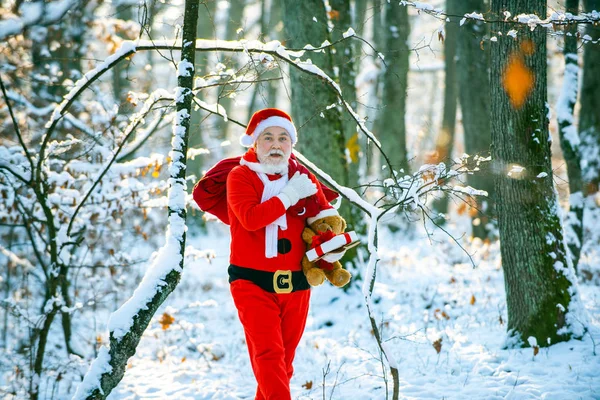 Winterparkbäume, die mit Schnee bedeckt sind. Weihnachtsmann mit Sackhüpfen im Winter. Weihnachtsmann zieht riesige Tüte voller Geschenke auf weißem Naturhintergrund. — Stockfoto