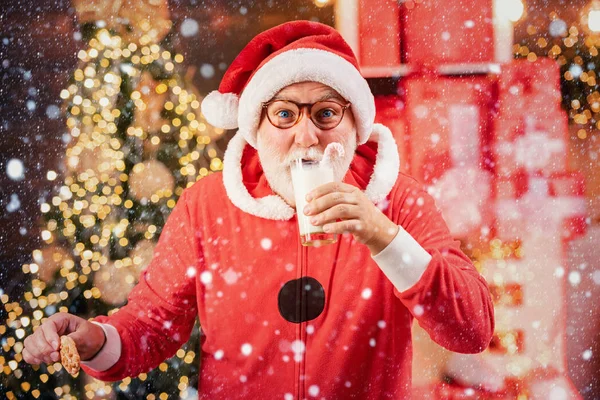 Porträtt av jultomten Dricka mjölk ur glas och hålla kakor. Jultomten håller julkakor och mjölk mot julgran bakgrund. — Stockfoto