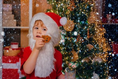 Mutlu Noeller ve mutlu yıllar. Şükran Günü ve Noel. Mutlu Noel Baba - tatlı çocuk kurabiye yiyor ve evde bir bardak süt içiyor..