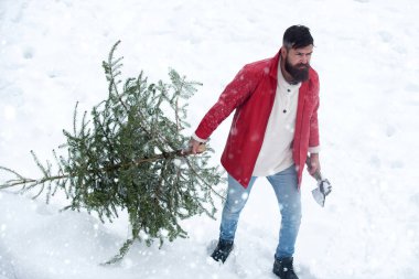 Acımasız olgun Noel Baba'nın portresi. Mutlu Noeller ve kopya alanı ile mutlu yeni yıl tebrik kartı. Adam bir Noel ağacı kesecek..