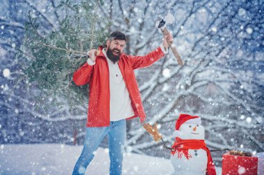 Genç oduncu kış portresi. Kar bahçesindeki kereste portresi Noel ağacını kesiyor. Genç oduncu beyaz kar arka planında köknar ağacı taşıyor..