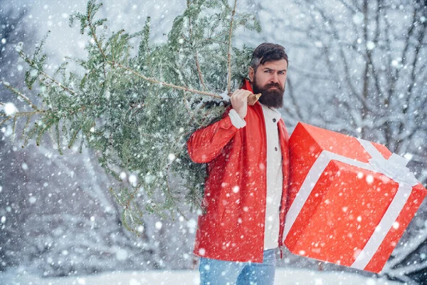 Christmas man in snow. Bearded man is carrying Christmas tree in the wood. Santa Claus with Christmas tree. Young man lumberjack is cutting Christmas tree in the wood.
