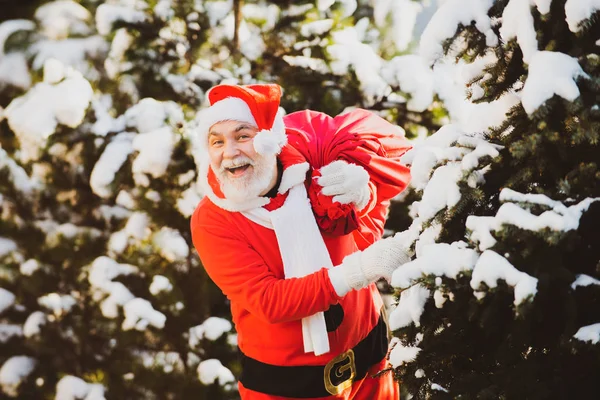 サンタクロースは雪に覆われたフィールドで冬に贈り物の袋を持って行きます。サンタクロースは雪景色の贈り物の袋と冬の森に来て. — ストック写真