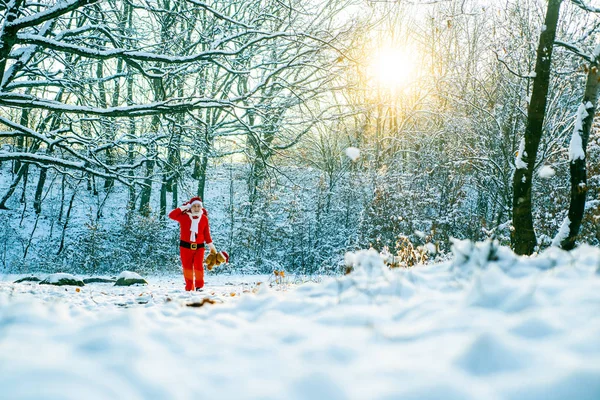 Noel arifesinde Noel Baba kırmızı bir çantada çocuklara hediyeler taşıyor. Noel Baba kış tarlasında. Kış parkı ağaçları karla kaplı. — Stok fotoğraf