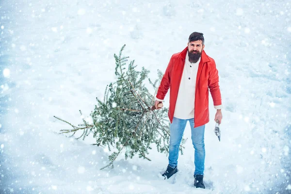 Mann im Schnee. Frohe Weihnachten und frohe Feiertage. Lustiger Weihnachtsmann posiert mit Axt und Weihnachtsbaum. Holzfäller mit Axt im Winterwald. Frohe Weihnachten und frohe Feiertage. — Stockfoto