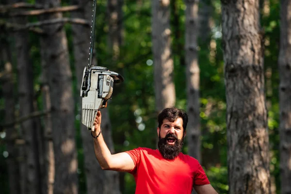 Lumberjack segurando a motosserra. Conceito de lenhador. Lenhador com motosserra nas mãos. Trabalhador lenhador caminhando na floresta com motosserra . — Fotografia de Stock