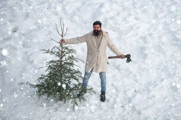 Junger Mann trägt Weihnachtsbaum im Wald. am Morgen vor Weihnachten. Porträt eines brutalen, reifen Weihnachtsmannes. Bärtiger Mann mit frisch gefälltem Weihnachtsbaum im Wald. — Stockfoto