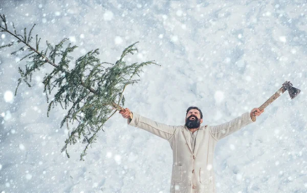 Счастливый отец с елкой на снежной зимней прогулке. Бородач режет елку. Покупка и доставка хвойных пород в канун Рождества . — стоковое фото
