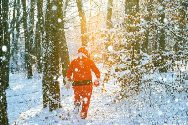 Kırmızı kostümlü Noel Baba kış ormanında yürüyor. Noel hediyeleri getirdim. Mutlu yıllar. Mutlu Noeller ve mutlu yıllar.. — Stok fotoğraf