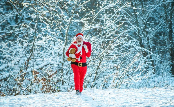 Santa Claus va con una bolsa de regalos en el invierno en el campo cubierto de nieve. Santa Claus llegando al bosque de invierno con una bolsa de regalos en el paisaje de nieve. —  Fotos de Stock