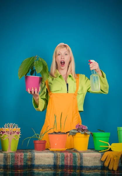 Eine lächelnde Frau hält Blumen im Topf. Lifestyle Interesse Hobby. Porträt von ihr sie schön aussehende attraktive süße wunderschöne hübsche fröhliche fröhliche Mädchen hält in den Händen Blumen. Bewässerung. — Stockfoto