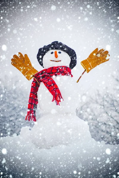 Hombre de nieve en sombrero de invierno. Fondo de Navidad con muñeco de nieve. Muñeco de nieve divertido en sombrero elegante y bufanda en el campo cubierto de nieve. Feliz hombre de nieve sonriente en el soleado día de invierno — Foto de Stock