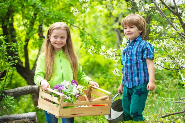 田舎の子供時代緑の春の庭で幸せな子供たちは仕事、植物、水。エコガーデン労働者。かわいい男の子と自然の女の子の愛好家。小さな子供たちは庭のツールで庭で働き、楽しい時間を過ごしています. — ストック写真