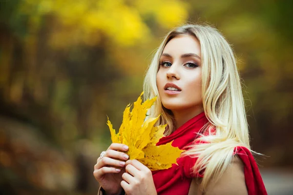 Rainha do Outono a caminhar no parque. Mulher atraente segurando folhas amarelas caídas. Menina vestindo cachecol aconchegante vermelho brilhante e quente. Close up retrato de loira com anjo beleza . — Fotografia de Stock