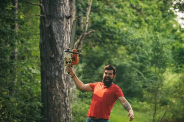 Ormanda çalışan oduncu mu? Ormanda testere ile kereste işçisi. Oduncu işçi ormanda elektrikli testereyle dikiliyor. Ağaç kesiyorum. Tarım ve ormancılık teması.