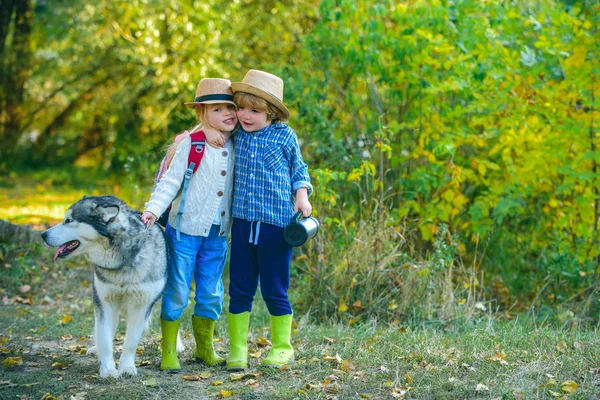 Sevgililer Günü tebrik kartı. Komik çocuklar. En İyi Sevgililer Günü Fikri.
