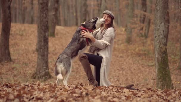 秋天的女孩和狗哈士奇玩耍。 女孩和哈士奇的狗在户外的专栏公园里。 与狗的概念友谊. — 图库视频影像