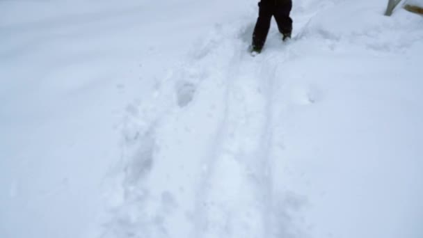Radosny mały chłopiec bawiący się w Winter Park w śniegu. Dziecko w mroźnym zimowym parku. Śnieżny zimowy spacer. Ciesząca się przyrodą zima. — Wideo stockowe