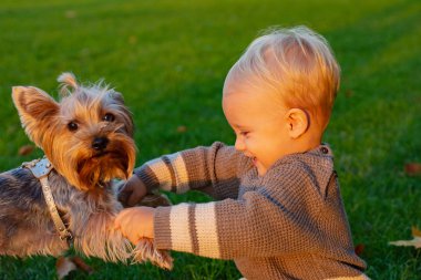 Mutlu bebek sonbahar parkında yavru köpekle oynarken eğleniyor. Güzel, güneşli bir sonbahar akşamında, sarı saçlı, gülümseyen bebek oynuyor. Çocukluk kavramı.