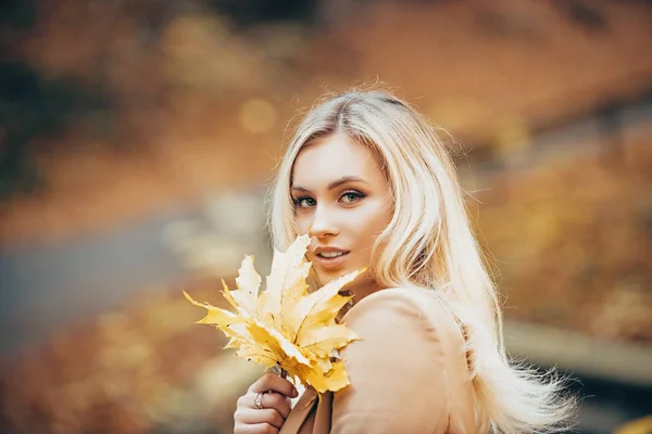 Charmoso linda loira olhando sonhador em uma câmera e segurando amarelo outonal caído folhas. Menina atraente vestindo casaco bege acolhedor andando no parque dourado outonal . — Fotografia de Stock