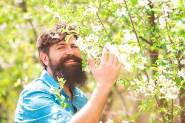 Çiftçi tarlada ya da tarlada incir mahsulünü inceliyor. Arka planda yakışıklı bir genç adam kameraya bakıyor. Bahar bahçıvanlığı rutini.