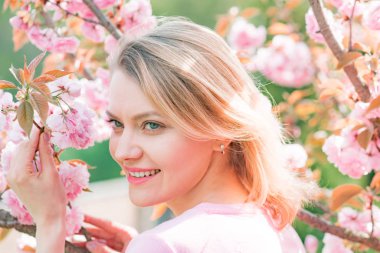 Sakura Festivali. Blossom kiraz ağacı olan sarışın kızlar. Sakura.