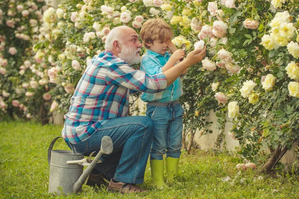 Grandfather and grandson. Old and Young. Concept of a retirement age. I love our moments in the countryside - remember time. Gardening with a kids. — Stock Photo, Image