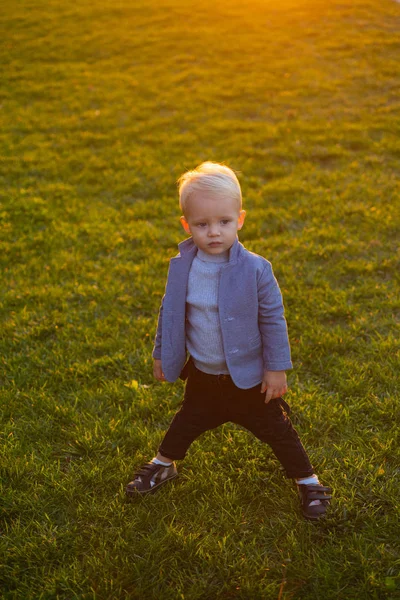 Aranyos kisbaba az őszi parkban, sárga levelekkel. A fiú az őszi levelekben ül a parkban. Kisfiú. Arany ősz. Napsütéses nap. Édes kisfiú játszik az őszi parkban. — Stock Fotó