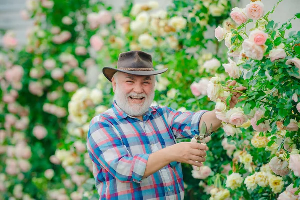 Feliz granjero con sombrero de vaquero divirtiéndose en el campo. Abuelo en un hermoso jardín. Abuelo disfrutando en el jardín con flores. Jardinero senior . — Foto de Stock