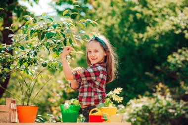 Kız gücü. Çiftlikte hasat edilen çocuk bahçıvanın portresi. Küçük mutlu çiftçi sahada eğleniyor. Bebek çiçek parkında çalışıyor..