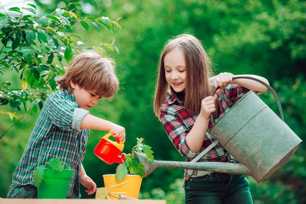 Bevattning blommor i trädgården. Barnbonde på gården med lantlig bakgrund. Söt liten pojke och flicka vattna växter i trädgården på vårdagen. — Stockfoto