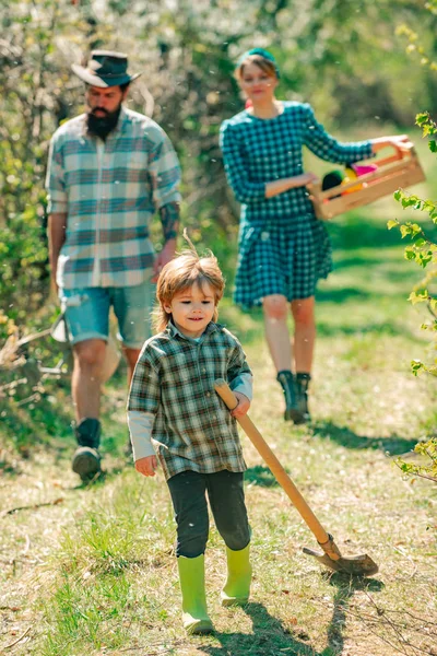 가족심기. 아들돕기. 농업 지역을 산책하는 가족. 아들은 봄에 유기농 농장에서 일하는 가족을 돕습니다. 봄철에 마당에 있는 행복 한 가족의 모습. — 스톡 사진