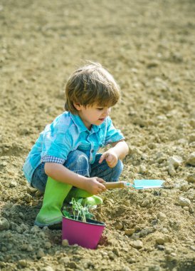 Küçük bir çiftçi ol. Küçük bir çocukla bahçe işleri. Bahar sezonu. Küçük çocuk bahçıvanlık yapıyor ve baharda eğleniyor..