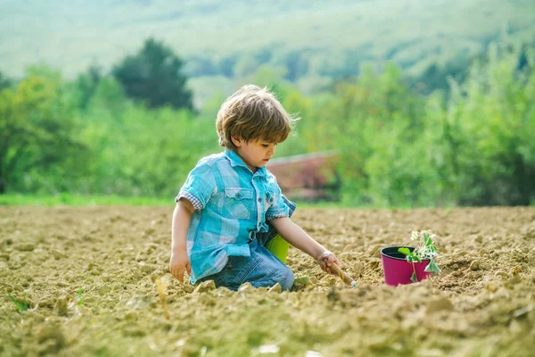 Gartenarbeit mit kleinem Kind. Kinderbetreuungseinrichtungen. Kindergärtnerei im Hinterhofgarten. Glücklicher kleiner Bauer hat Spaß auf dem Feld. — Stockfoto