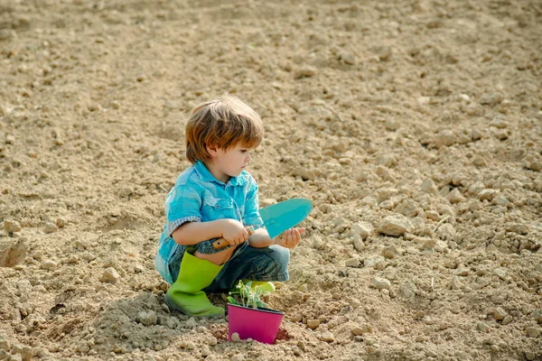 Actividades de verano para niños. Pequeño ayudante en el jardín Plantando flores. Bastante lindo niño trabajando y jugando en hermoso jardín . — Foto de Stock