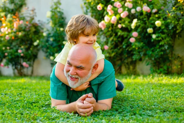 Happy family Grandson hugs his grandpa on holiday. Grandfather and grandson Playing - Family Time Together. Happy family father and child on meadow with a kite in the summer on green grass. — Stock Photo, Image