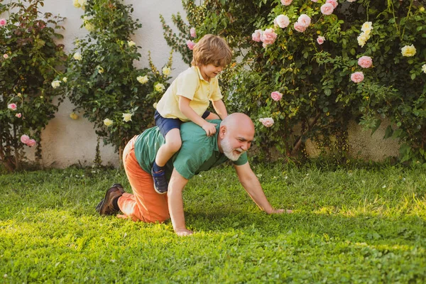 Feliz abuelo dando a su nieto paseo a cuestas sobre sus hombros y mirando hacia arriba. Feliz abuelo y nieto relajándose juntos. Abuelo e hijo. Tradición familiar . — Foto de Stock