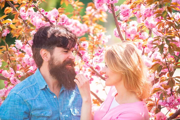 Pareja enamorada teniendo una cita en el parque de flores de primavera en un día de primavera con hermosas flores de cerezo en el fondo . —  Fotos de Stock
