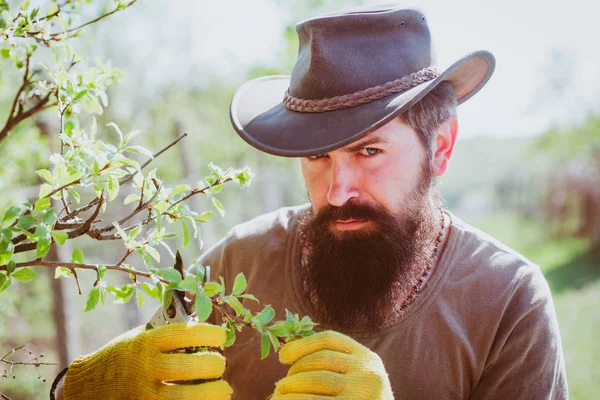 Farmar desfrutar da natureza primavera e cuidar de suas plantas. Dia da Terra. Filial de enxertia de agricultores no pomar . — Fotografia de Stock