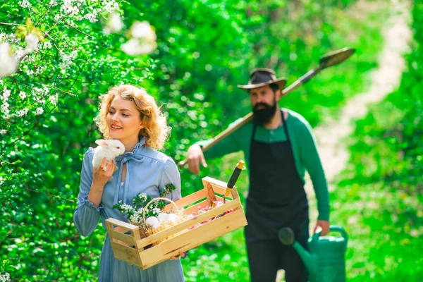 Buon concetto di vacanze pasquali. Bella donna tenere coniglio bianco . — Foto Stock