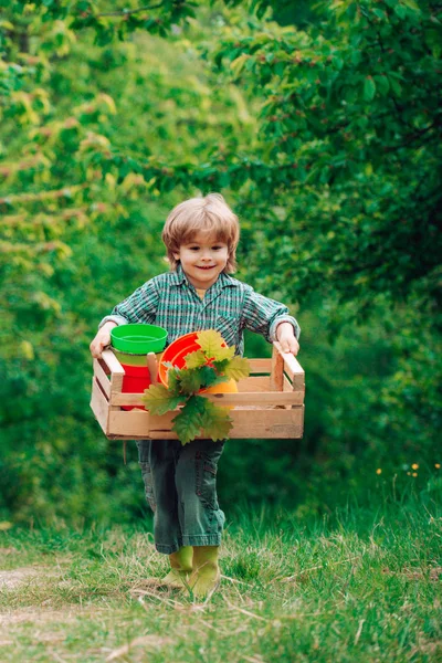 Ο μικρός Φάρμερ κρατάει κουτί. Αμερικανική αγροτική ζωή. Ημέρα της Γης. Κηπουρός κηπουρός στον κήπο πίσω αυλή. — Φωτογραφία Αρχείου