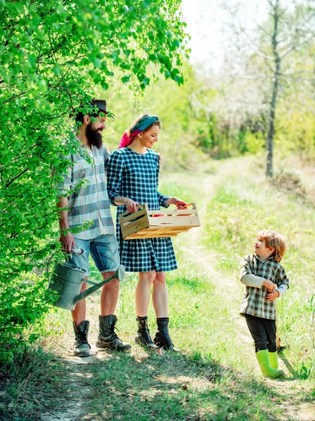 Happy family in garden. Family gardening in the backyard garden.