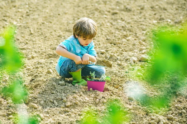 子供と一緒に庭を作る。花を植える。春の庭で遊ぶ子供。世界を緑にする農地の子供の肖像画. — ストック写真