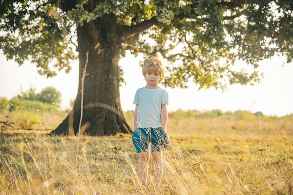 新鮮な空気の上に小さな子供。自然の中でかわいい男の子のための美しい楽しい一日。面白い子だ。子供の世話だ。外に出る. — ストック写真