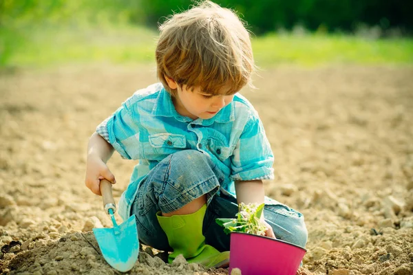 Niedlicher kleiner Junge, der an einem sonnigen Frühlingstag Pflanzen im Garten gießt. Pflanzungen auf Feldern. ziemlich nettes Kind arbeitet und spielt im schönen Garten. — Stockfoto