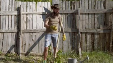 Çiftçilik ve tarım. Bahar geldi. Çiftlikteki sebzeler. Çevre hayatı. Ahşap arka plan. Amerikan çiftlik hayatı. Tarlada sakallı çiftçi adam kırsalda yaşıyor..
