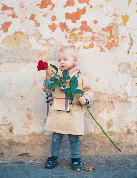 バレンタインの子よ赤いバラを隠すかわいい少年。ハッピーバレンタインデー. — ストック写真